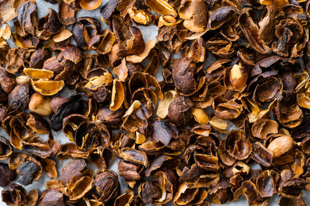 Cascara, Coffee Cherry Tea made from the Dried Skins of dried Berries of the Coffee Plant for Backgrounds or Textures. Ready to Use.